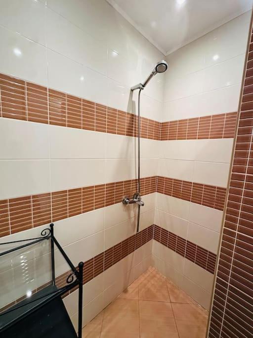 Student Town 1Bdr Apt 索菲亞 外观 照片
